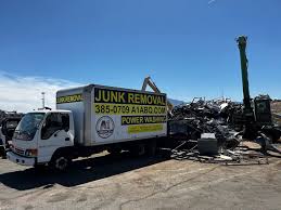 Best Hoarding Cleanup  in Holly, MI