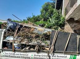 Best Commercial Junk Removal  in Holly, MI
