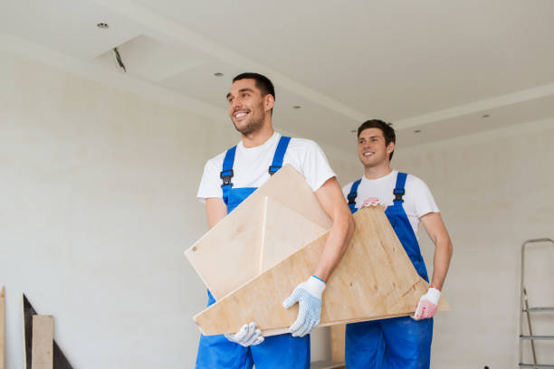 Best Scrap Metal Removal  in Holly, MI