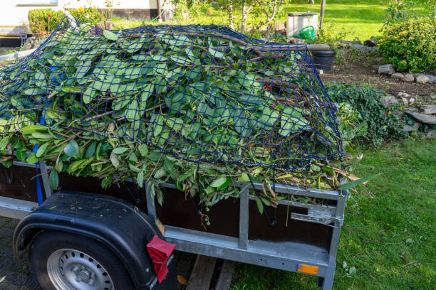 Best Estate Cleanout  in Holly, MI
