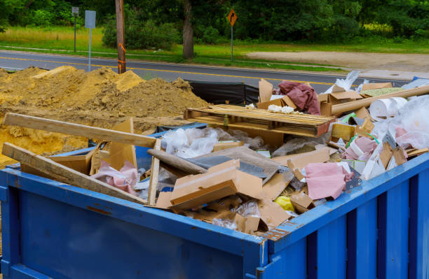 Best Shed Removal  in Holly, MI